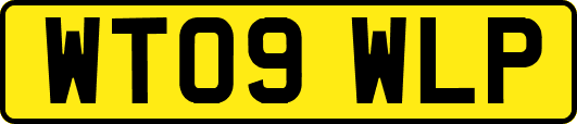 WT09WLP