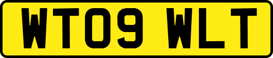 WT09WLT