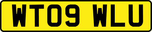 WT09WLU