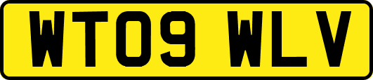 WT09WLV