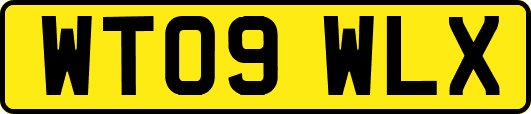 WT09WLX