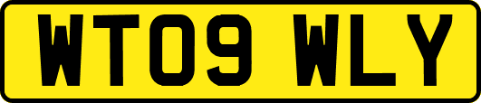 WT09WLY