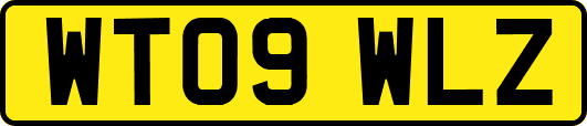 WT09WLZ