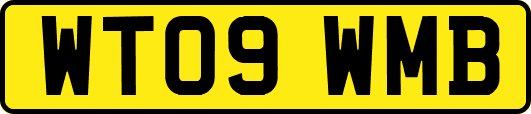 WT09WMB