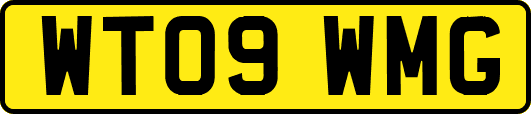 WT09WMG
