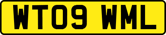 WT09WML