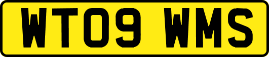 WT09WMS
