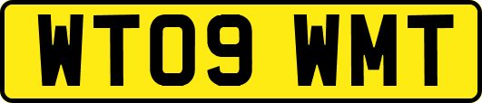 WT09WMT