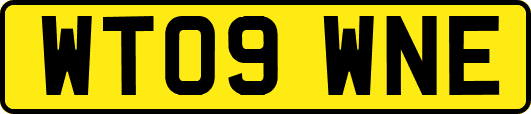 WT09WNE