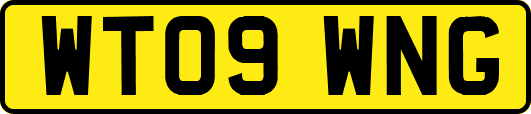 WT09WNG