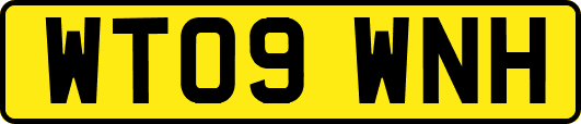 WT09WNH