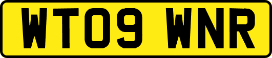 WT09WNR