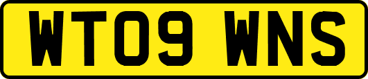 WT09WNS