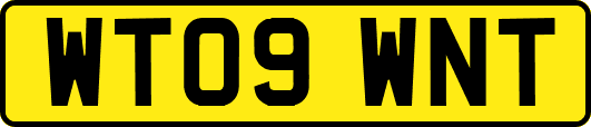 WT09WNT