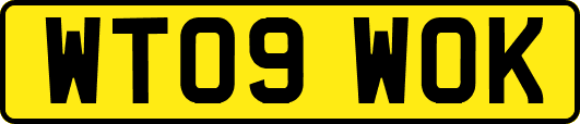 WT09WOK