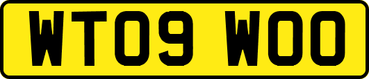 WT09WOO