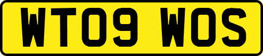 WT09WOS