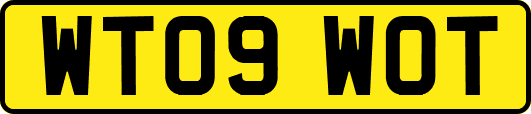 WT09WOT