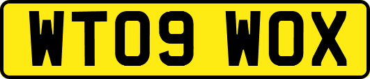 WT09WOX