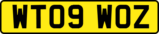 WT09WOZ
