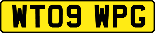 WT09WPG