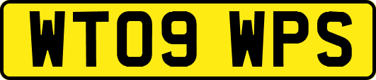 WT09WPS