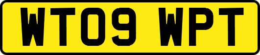 WT09WPT