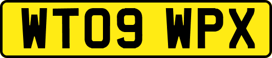 WT09WPX