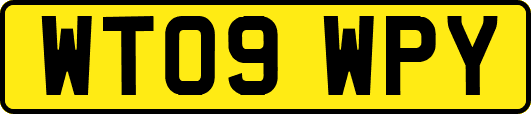 WT09WPY