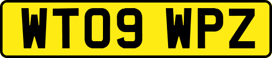 WT09WPZ