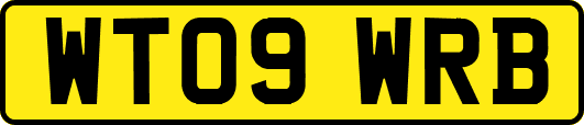 WT09WRB