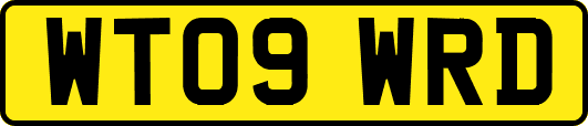 WT09WRD
