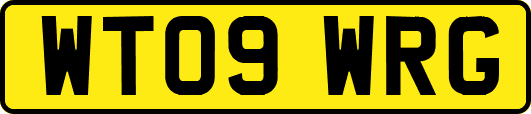 WT09WRG