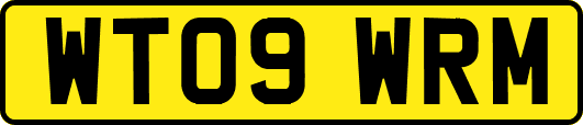 WT09WRM