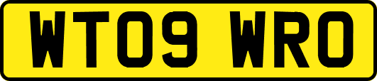 WT09WRO