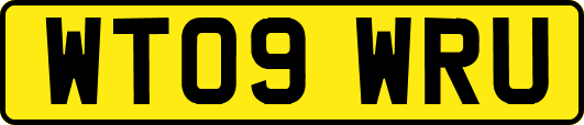 WT09WRU