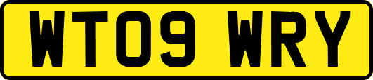 WT09WRY
