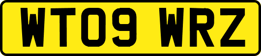 WT09WRZ