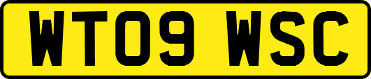 WT09WSC