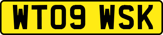 WT09WSK