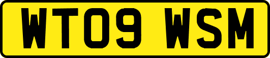 WT09WSM