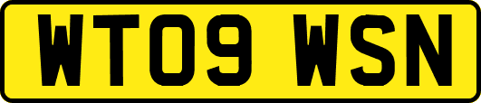 WT09WSN