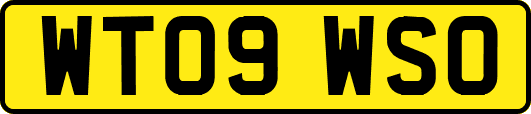WT09WSO