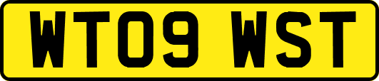 WT09WST
