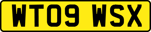 WT09WSX