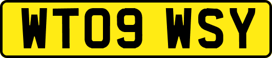 WT09WSY