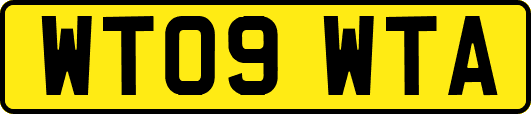 WT09WTA