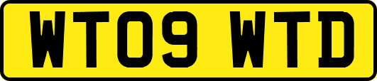 WT09WTD
