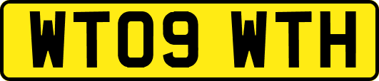 WT09WTH