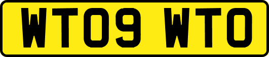WT09WTO